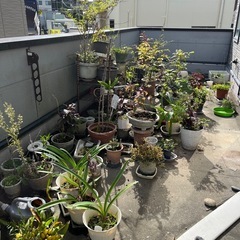 色々有りの画像