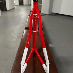 ピナレロ　TREVISO フレームセットの画像