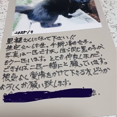 飼い主様がお引っ越しのため…😭