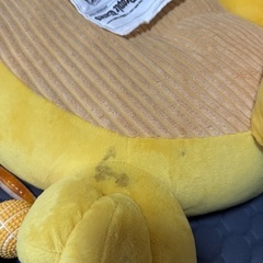 ペット用ベット？の画像