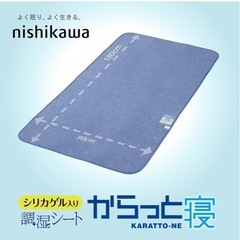 西川　からっと寝　吸湿マット　シングル
の画像