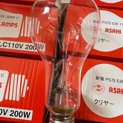 耐震　クリヤー　電球 E26 110V 200Wの画像