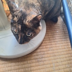飼い主様が施設に入られます