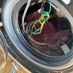 Panasonicドラム式洗濯機の画像