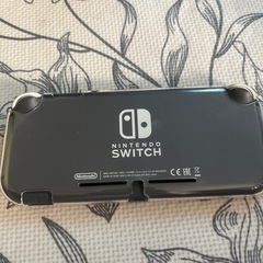 Switch liteの画像