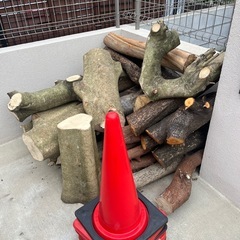 丸太の画像