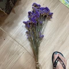 紫スターチスドライフラワー大量の画像