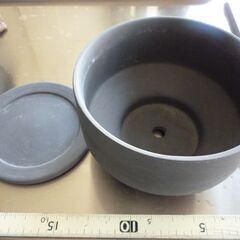 ミニ盆栽 陶器小鉢 蘇鉄 ソテツ子株 発根・発芽済 ９／１６撮影 塊根 多肉の画像