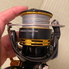 23レガリスの画像