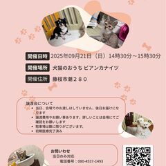 保護犬＆保護猫の譲渡会