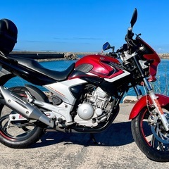 YAMAHA  YBR250 プチカスタムの画像