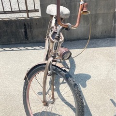 SCHWINNシュウインビーチクルーザー (ロン) 安部山公園のその他
