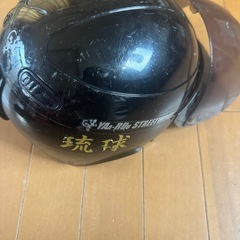 ヤールの画像