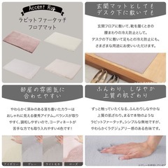 ニトリ　うさぎ　玄関マット　デスクマット　フロアマット　の画像