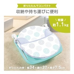 ベビー　ソフトバスチェア　summerの画像