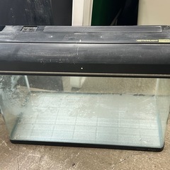 KOTOBUKI Progre コトブキ 600 水槽の画像