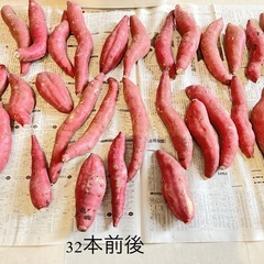 茨城県産　紅はるか　訳あり　5キロ　洗い済みの画像