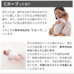 シーカーブクッションの画像