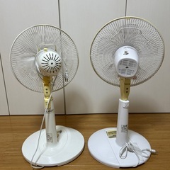 リビング扇風機　２台　　1台リモコン付きの画像
