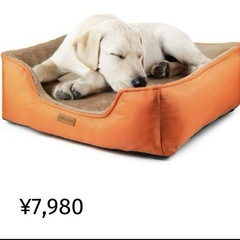 ペット(犬、猫)用ベッド、カウチ  冷暖兼用の画像
