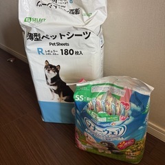 犬用ペットシーツ&オムツの画像