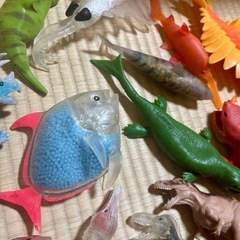 ＆Co.（アンドコ）　22点セット●デアゴスティーニ　の画像