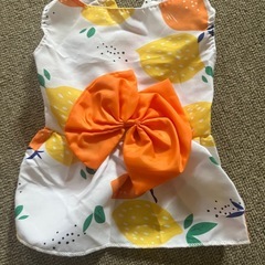 ペット服の画像
