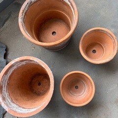 鉢（大、中、小）の画像