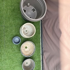 鉢　色々　園芸　ガーデニングの画像