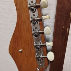 Great Lake　60年代～(ケース付き)の画像