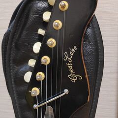 Great Lake　60年代～(ケース付き)の画像