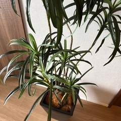 人工観葉植物
の画像