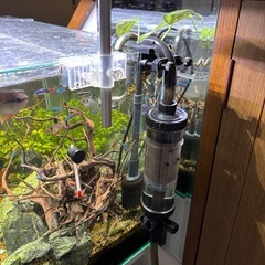 淡水魚フルセット※料金は相談くださいの画像