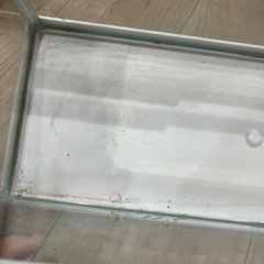 スリム　水槽　汚れありの画像