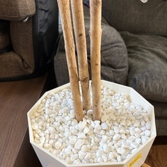 おまけ付き❣️フェイクグリーン🪴人工観葉植物🌿お洒落🌟造花置物1点物🤍の画像