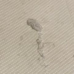 ペット用品　エアウィーヴ ペットベッド S ホワイト　汚れホツレ有りの画像