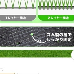 人口芝の画像