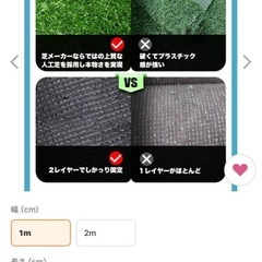 人口芝の画像
