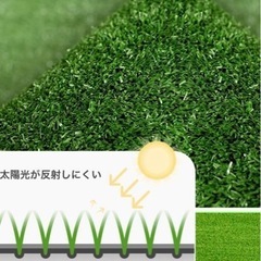 人口芝の画像