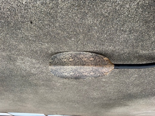 カーボンパドル