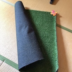 人工芝の画像