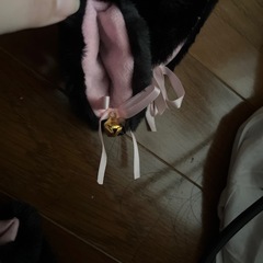 猫耳の画像