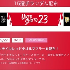 9月22日(月)ホークスvs オリックス  3塁側 　外野指定席   通路側含む２枚 （QR チケット）　タオルマフラー貰えます！の画像