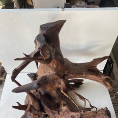 飾り木の画像