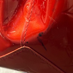 ルイヴィトン LV リードPM赤の画像