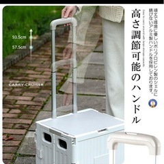 キャリー　中古　数回使用のみの画像
