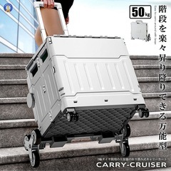 キャリー　中古　数回使用のみの画像