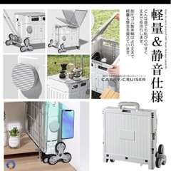 キャリー　中古　数回使用のみの画像