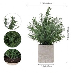 新品　観葉植物　フェイクの画像