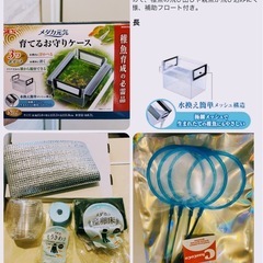 美品メダカ稚魚針子ケース➕小物(新品)の画像
